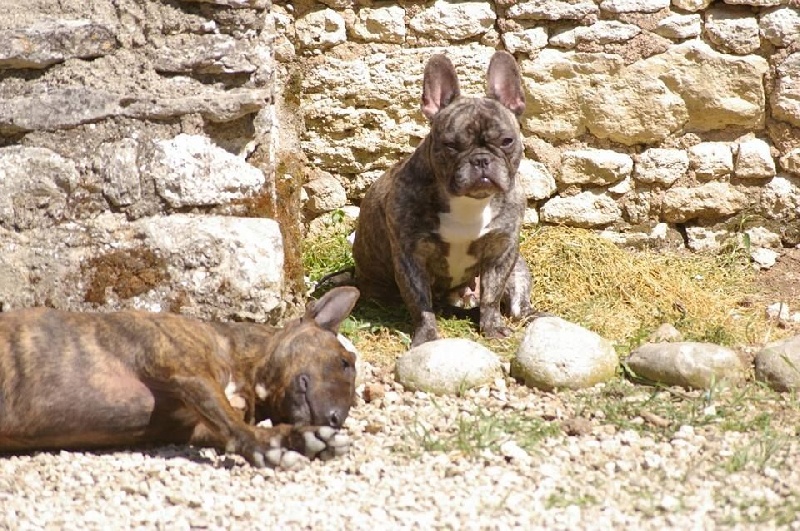 Gyna De Lilas Park